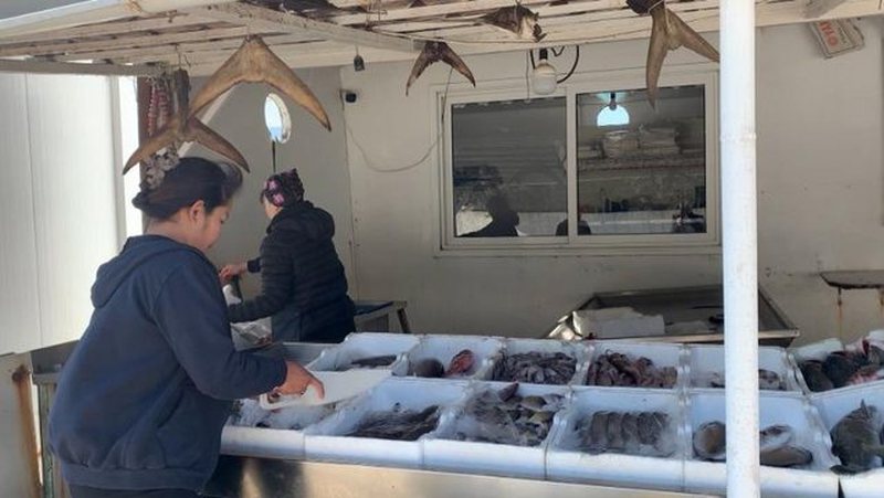 Over 11,000 foreign workers joined Albania’s labour market in 2024