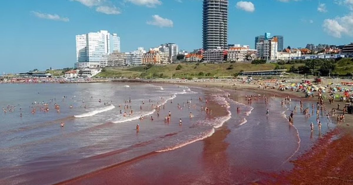 Fenomeni misterioz në brigjet e Floridas  studiuesit hedhin dritë pse uji i detit kthehet në ngjyrë të kuqe