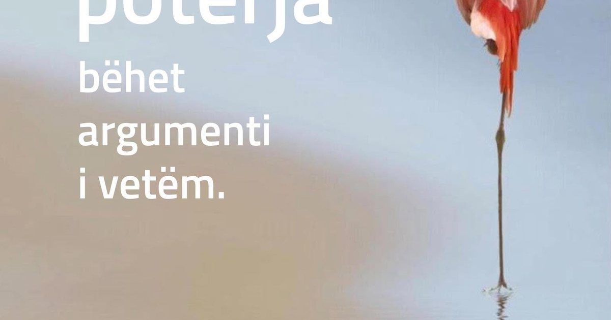 Edi Rama  Fakte jashtë kanaleve të turbullta të internetit ose një pasqyrë për të gjithë përgojuesit e shtetit shqiptar