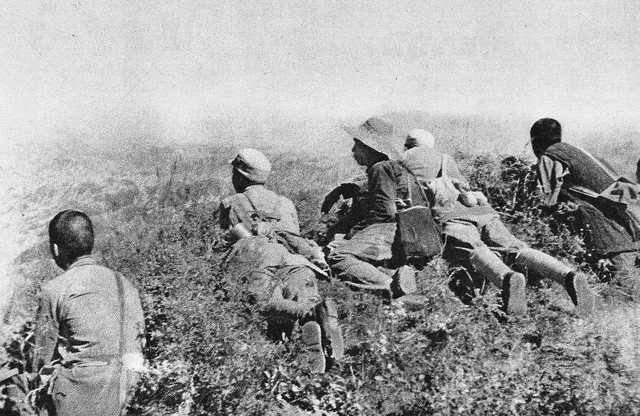Lufta e dytë Botërore në 80 vjetorin e përfundimit të
