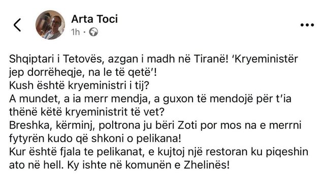 Protesta, Rama: Shqiptar&euml;t e Kosov&euml;s dhe Maqedonis&euml; s&euml;