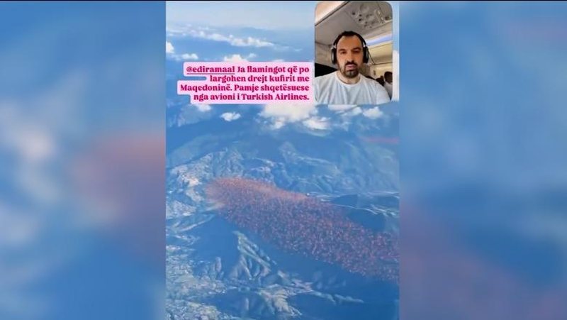 Rama ndan videon AI me flamingot q&euml; ikin drejt Maqedonis&euml; s&euml;