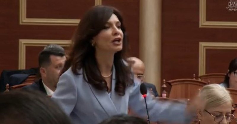 &ldquo;Kam folur edhe para protest&euml;s!&rdquo; - Spiropali sfidon